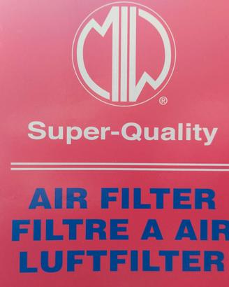 Filtro Aria Ducati Monster