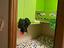 Immagine 3