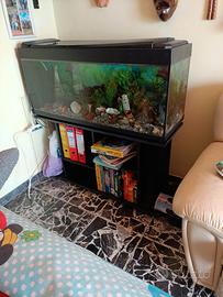 acquario più mobiletto