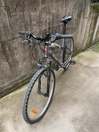 Bicicletta Mountain Bike