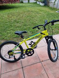 Mountain bike da bambino 