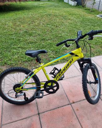 Mountain bike da bambino 