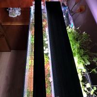 Plafoniera acquario Easyled