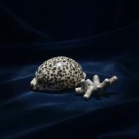 Conchiglia Decorativa in Porcellana