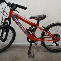 Bici bambino TECNOBIKE 20''