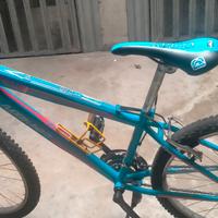 bicicletta Mountain bike ruota da 26