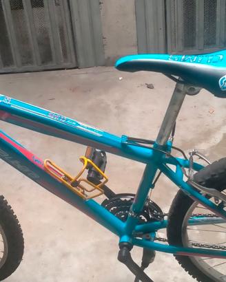 bicicletta Mountain bike ruota da 26