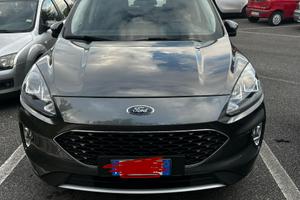 Ford Kuga III serie, allestimento Connect