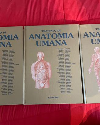 Libri Medicia e Chirurgia