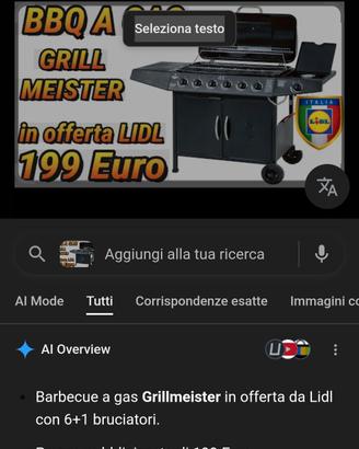 barbecue lidl 6 fuochi 