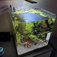 Acquario amtra Nanotank 60