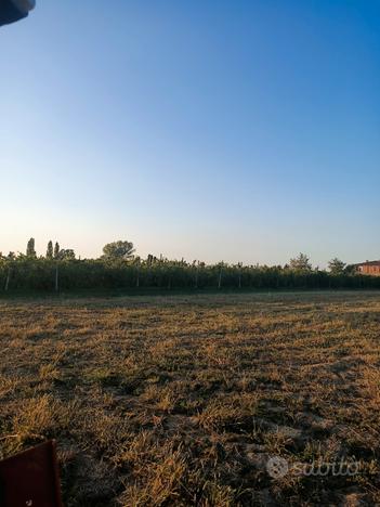 Terreno agricolo