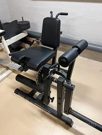Leg extension / leg curl kingsgym