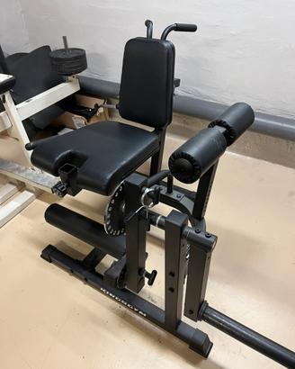 Leg extension / leg curl kingsgym