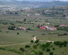 Terreno a Soave (VR)