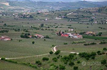 Terreno a Soave (VR)