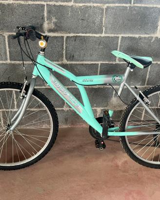 Bicicletta