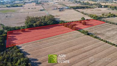 Terreno agricolo 3 ettari per foraggi e zootecnia