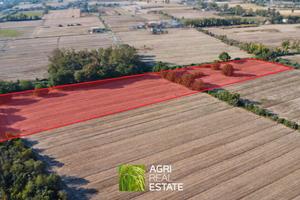 Terreno agricolo 3 ettari per foraggi e zootecnia
