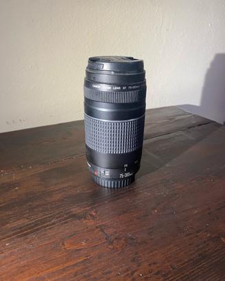 Canon EF 75-300mm f/4-5.6