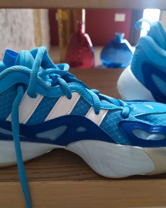 scarpe da basket