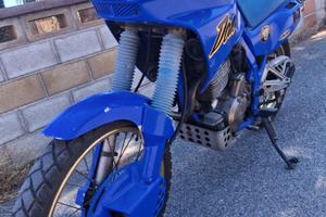 Honda Dominator