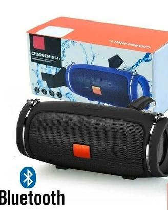 cassa bluetooth impermeabile 