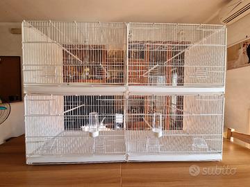 Gabbie 2GR  120 cm + acc. extra + (opzione) mobile