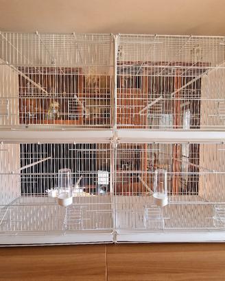 Gabbie 2GR  120 cm + acc. extra + (opzione) mobile