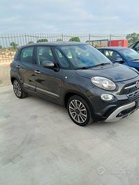  500 L cross
