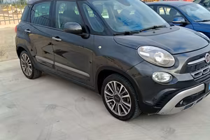  500 L cross