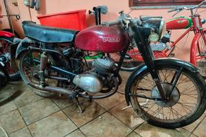 ganna 150 sport (raro)