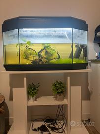 Acquario 120lt