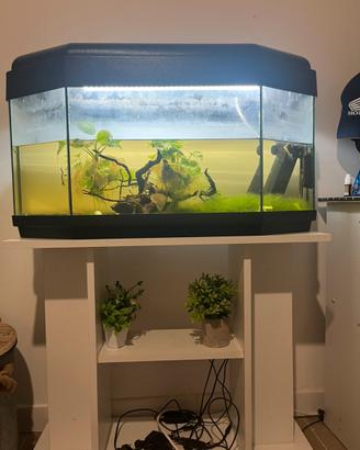 Acquario 120lt