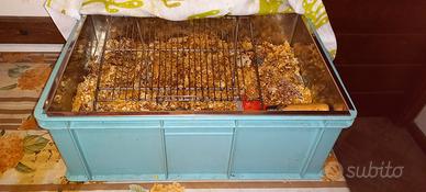 vasca disopercolatrice per apicoltura 