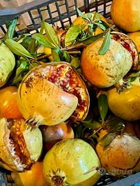 Melograni siciliani box 5kg