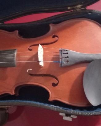 violino 