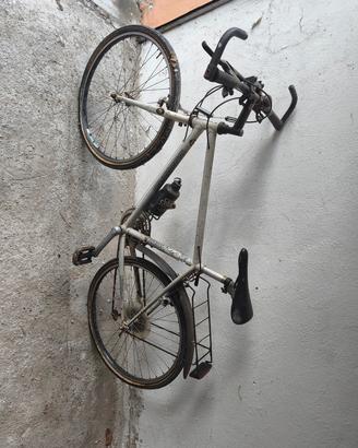 BICICLETTA DOUGLASS