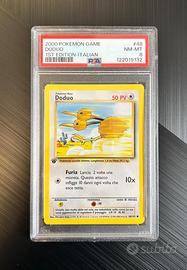 Doduo PSA 8