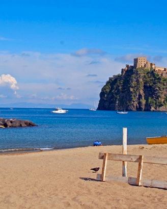 Ischia Last Minute Appartamento vacanze con terraz