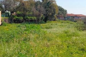 Terreno 1000 Mq Edificabile