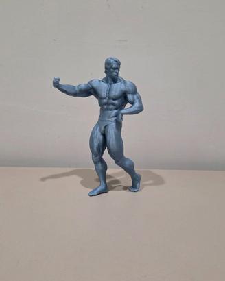 Arnold Schwarzenegger posa bicipite largo