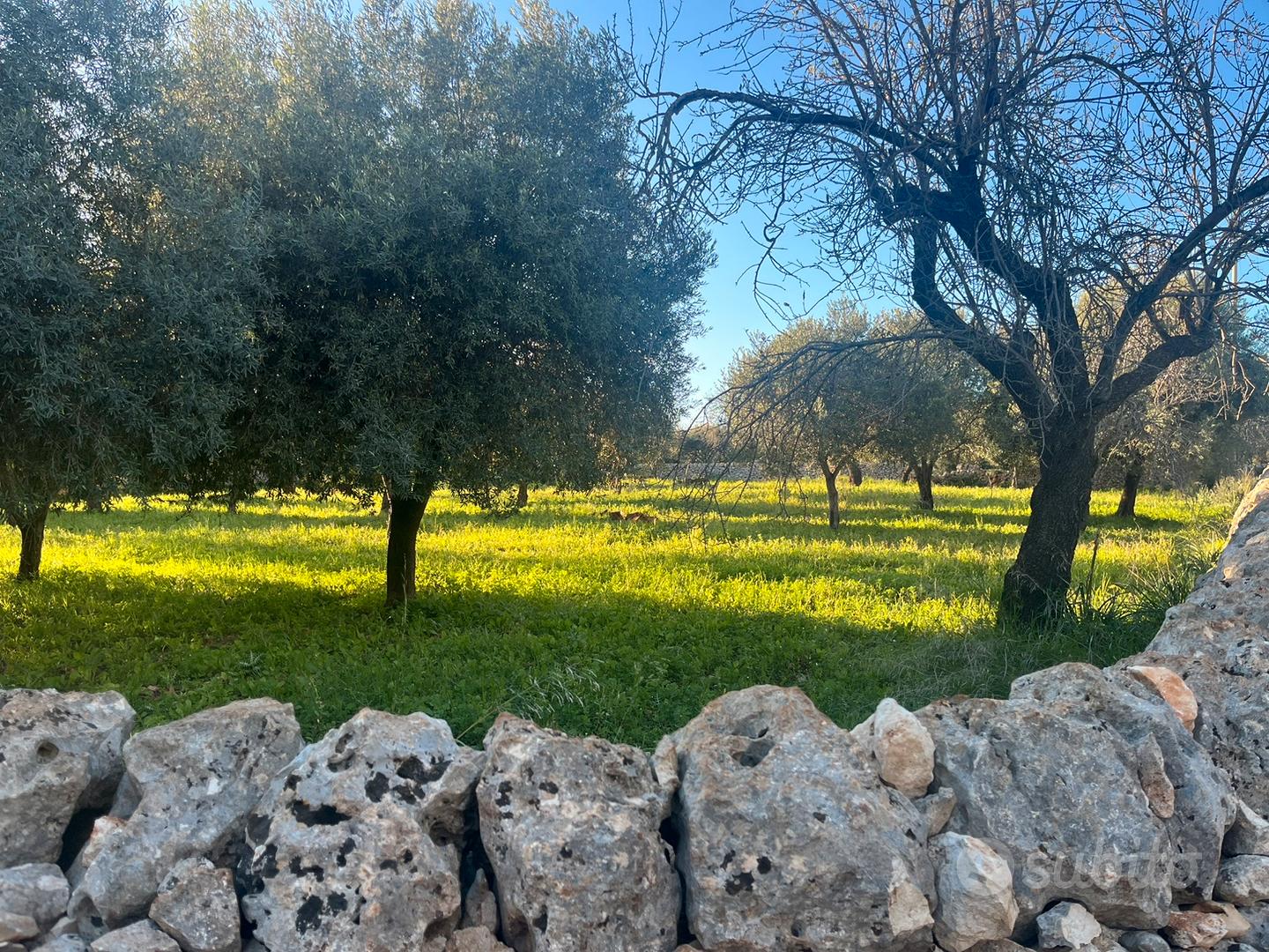 Contrada Cava Secca - Altro