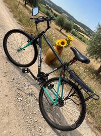 MTB  26" Shimano - Nera Verde - Portapacch