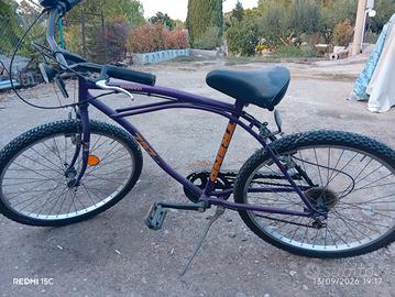 bicicletta 