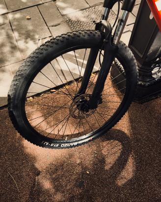 bici MTB