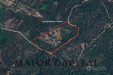 San Teodoro | Terreno agricolo con vista sulle col