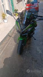 Kawasaki ninja 1100sx se