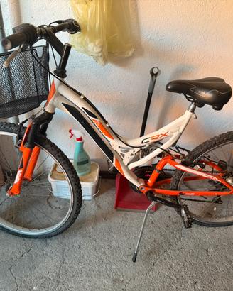 Bicicletta