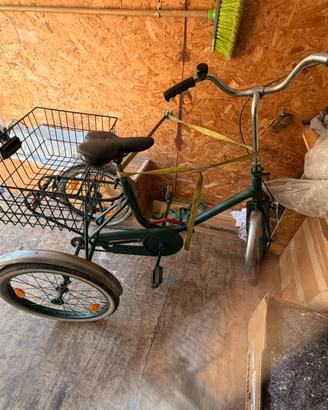 Bicicletta 3 ruote